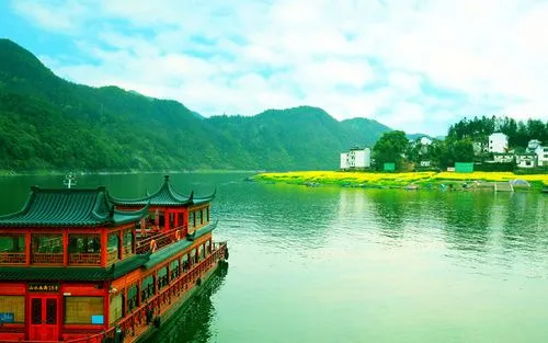 环保全自动高端